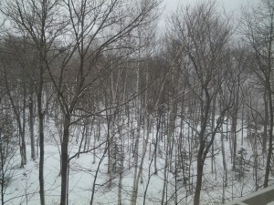 20130429_083205