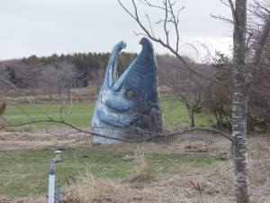 シャケ
